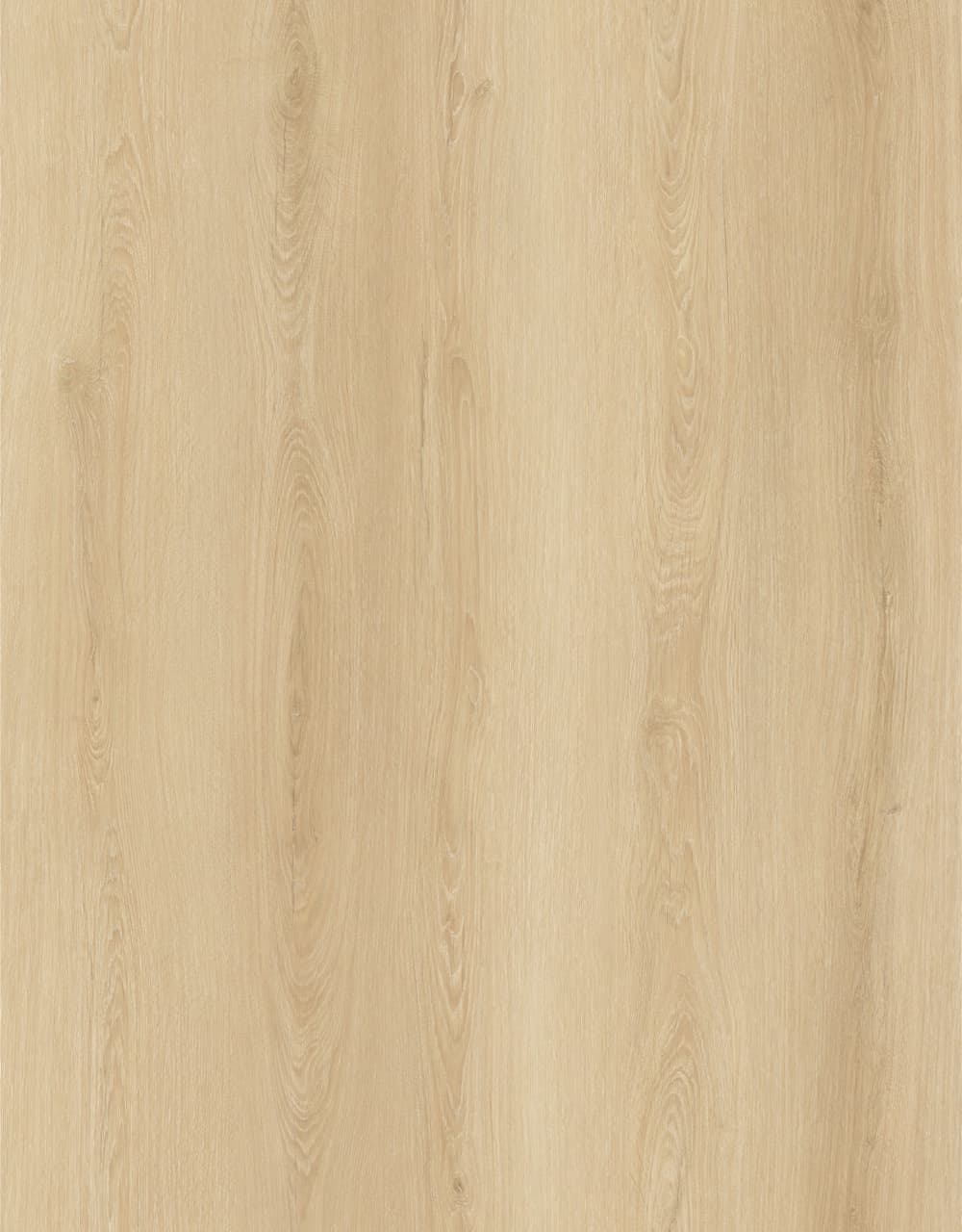 Natural Oak floor swatch