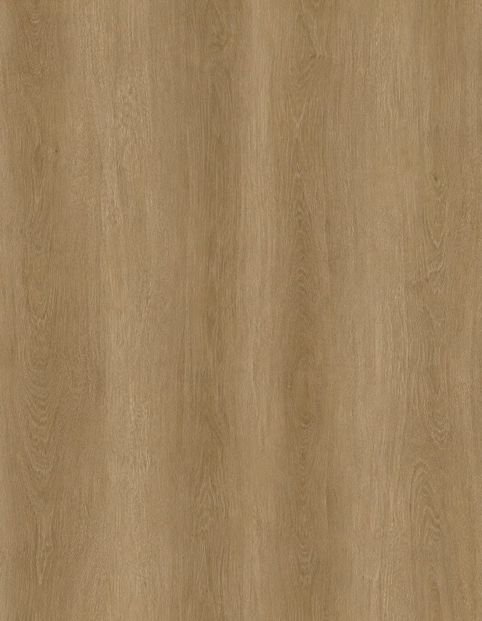 Walnut floor swatch